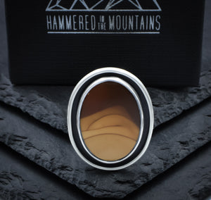 Bruneau Jasper Ring • Size 9