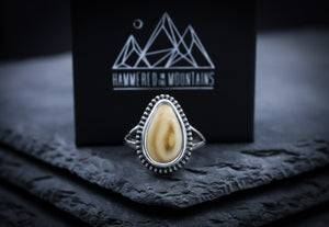 Elk Ivory Ring • Beaded Border • Split Shank Band